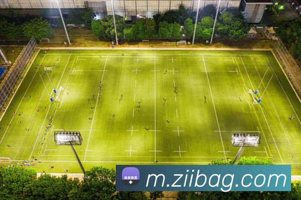 App Interface Preview